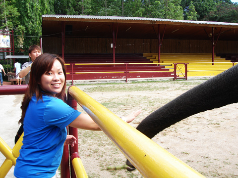 i touch the elephant trunk... i touch the elephant trunk...